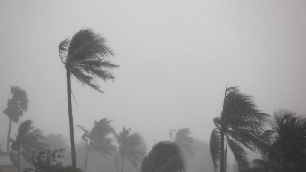 Executive Assessment: Can Your Property Absorb a Major Storm Loss?